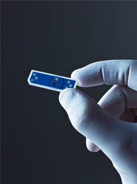 Biosen Chip Sensor Lactate Type 2